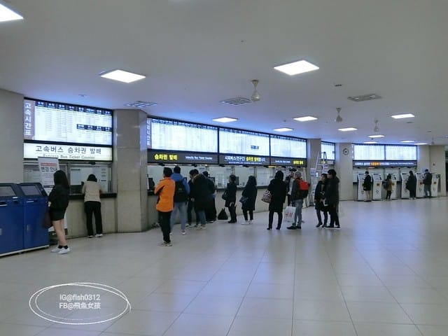 韓國慶洲。怎麼從慶洲搭巴士回釜山 交通懶人包 釜山慶州自由行  慶州一日遊