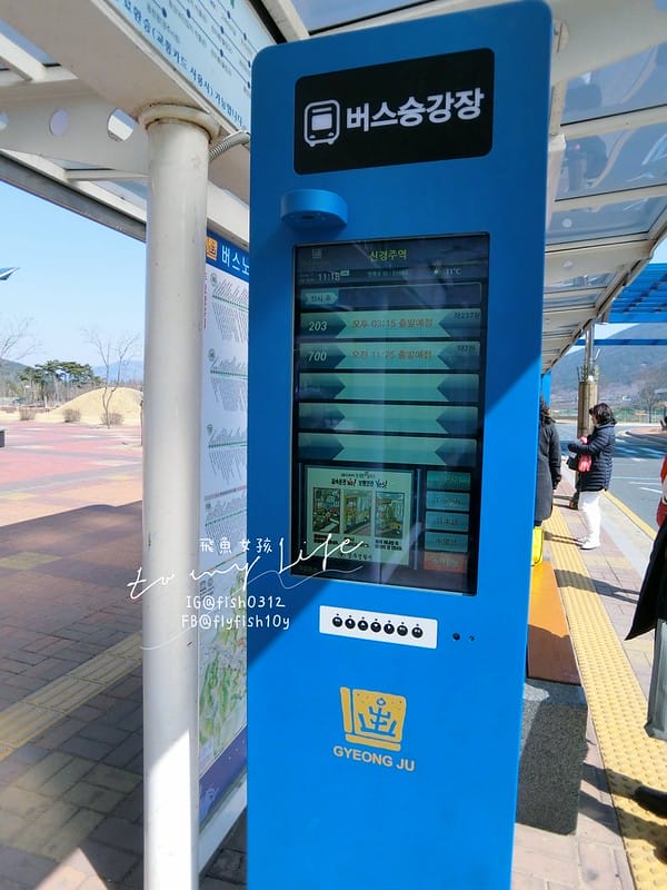 韓國釜山 從釜山到慶洲  釜山慶洲自由行  KTX慶洲一日遊 交通懶人包 屍速列車 釜山站  