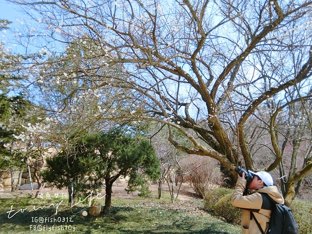 慶州佛國寺(불국사) 世界文化遺產  石窟庵  釜山慶州一日遊