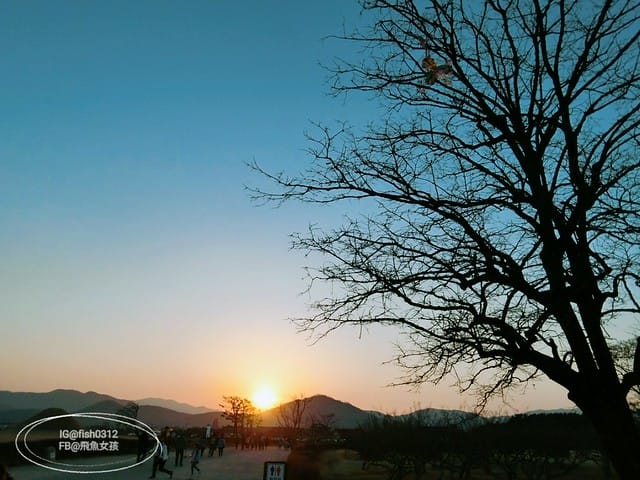 慶州必去 大陵苑  千年古墳天馬塚 (대릉원) 瞻星臺 慶村鄉校 從慶洲搭高速巴士回釜山 慶洲自由行