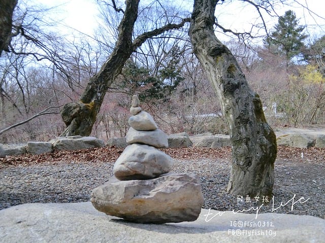 慶州佛國寺(불국사) 世界文化遺產  石窟庵  釜山慶州一日遊