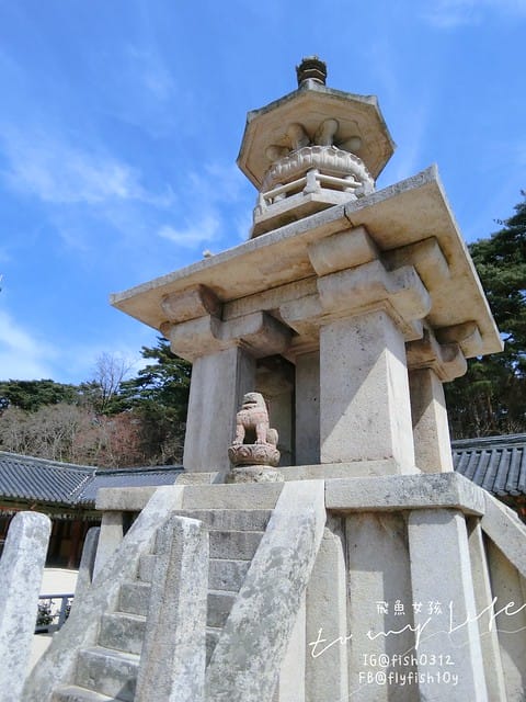 慶州佛國寺(불국사) 世界文化遺產  石窟庵  釜山慶州一日遊