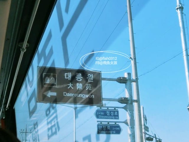 慶州必吃 慶州火車站前的城東市場 韓食吃到飽 小菜食堂(경주 성동시장)