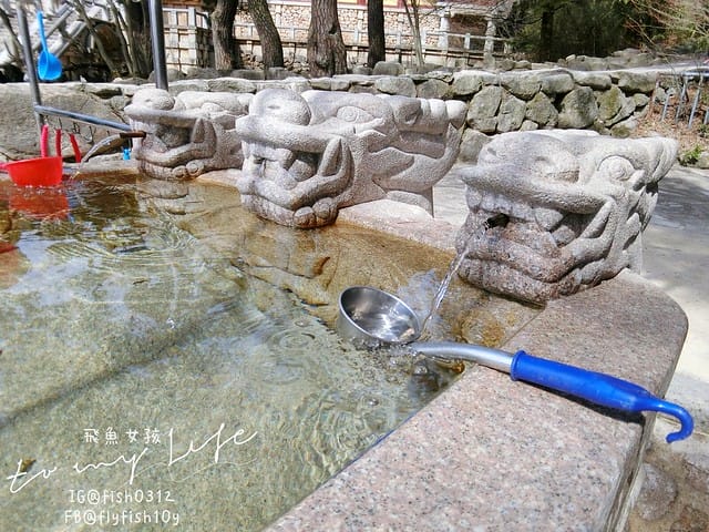 慶州佛國寺(불국사) 世界文化遺產  石窟庵  釜山慶州一日遊