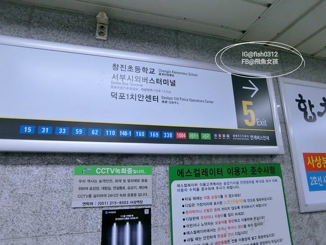 韓國慶洲。怎麼從慶洲搭巴士回釜山 交通懶人包 釜山慶州自由行  慶州一日遊