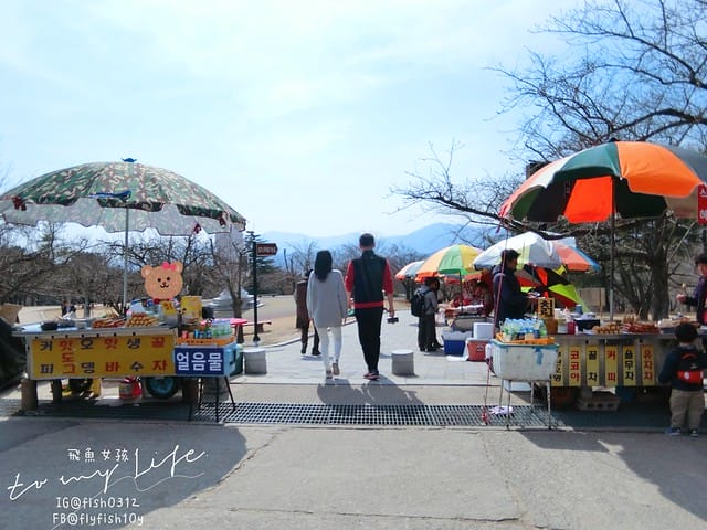 慶州佛國寺(불국사) 世界文化遺產  石窟庵  釜山慶州一日遊