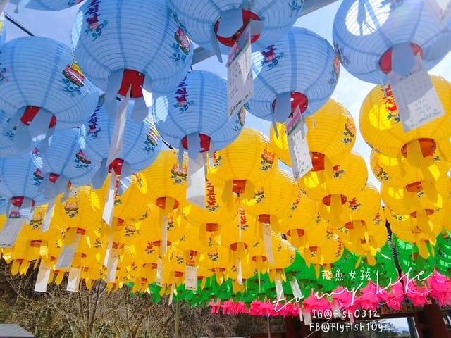 慶州佛國寺(불국사) 世界文化遺產  石窟庵  釜山慶州一日遊