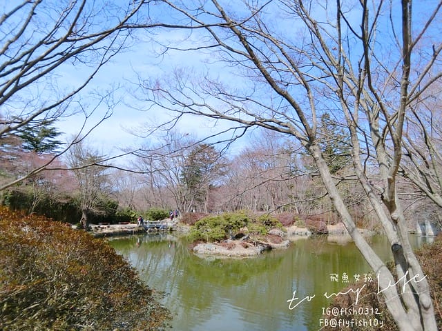 慶州佛國寺(불국사) 世界文化遺產  石窟庵  釜山慶州一日遊