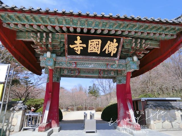 慶州佛國寺(불국사) 世界文化遺產  石窟庵  釜山慶州一日遊