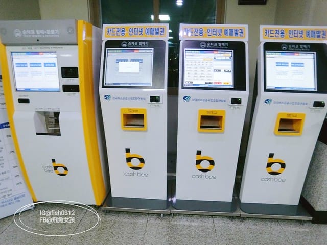 韓國慶洲。怎麼從慶洲搭巴士回釜山 交通懶人包 釜山慶州自由行  慶州一日遊