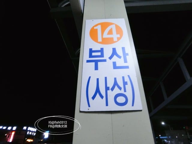 韓國慶洲。怎麼從慶洲搭巴士回釜山 交通懶人包 釜山慶州自由行  慶州一日遊