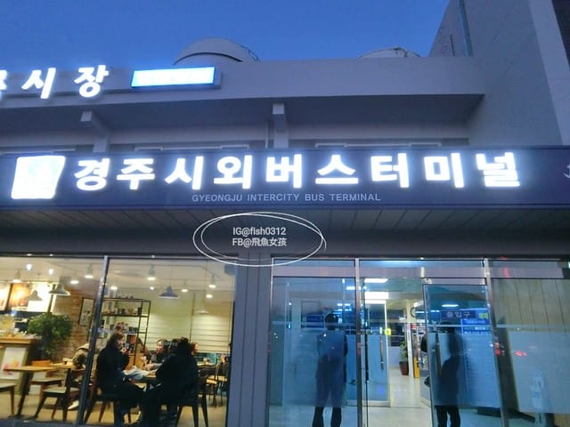 慶州必去 大陵苑  千年古墳天馬塚 (대릉원) 瞻星臺 慶村鄉校 從慶洲搭高速巴士回釜山 慶洲自由行