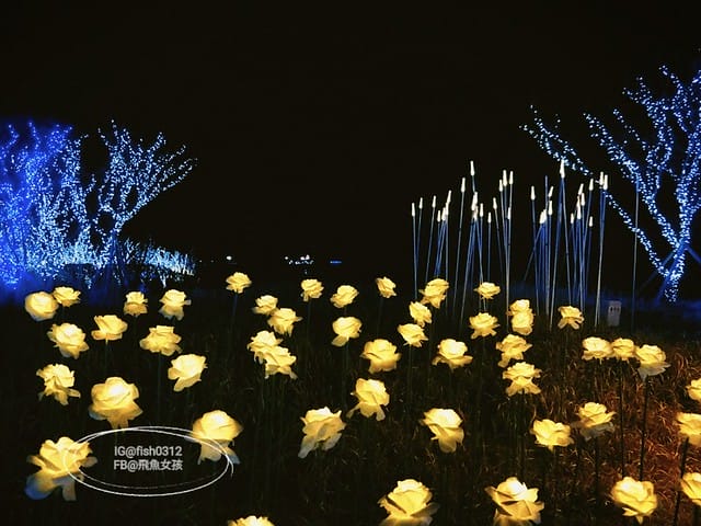 釜山必去 illumia釜山慶南賽馬公園 釜山夜景 燈光秀 釜山景點 釜山自由行
