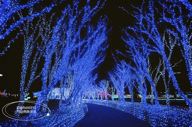 釜山必去 illumia釜山慶南賽馬公園 釜山夜景 燈光秀 釜山景點 釜山自由行