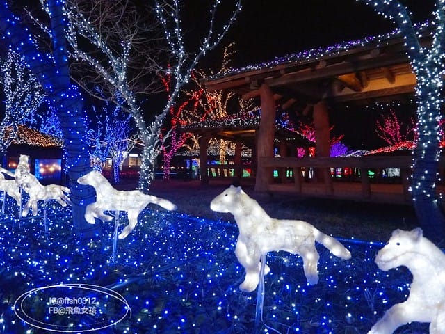 釜山必去 illumia釜山慶南賽馬公園 釜山夜景 燈光秀 釜山景點 釜山自由行