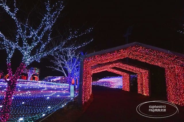 釜山必去 illumia釜山慶南賽馬公園 釜山夜景 燈光秀 釜山景點 釜山自由行