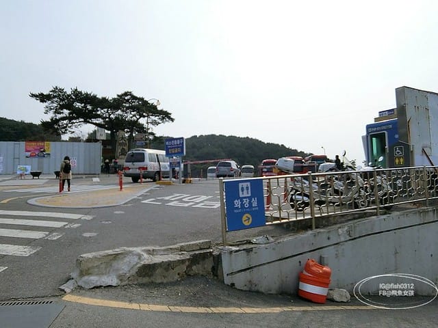 韓國釜山。釜山必去 太宗臺(태종대)搭DANUBI列車 影島燈塔  太宗臺辣海鮮麵  我在釜山搭公車