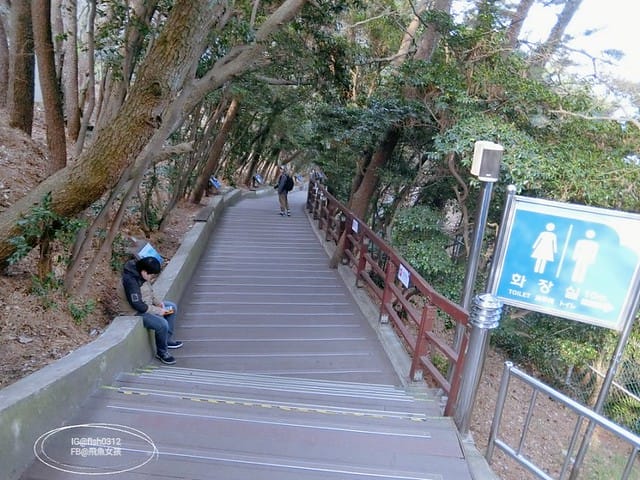 韓國釜山。釜山必去 太宗臺(태종대)搭DANUBI列車 影島燈塔  太宗臺辣海鮮麵  我在釜山搭公車