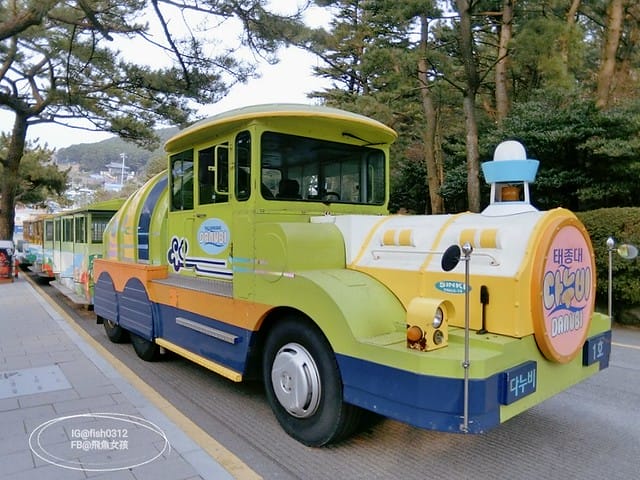 韓國釜山。釜山必去 太宗臺(태종대)搭DANUBI列車 影島燈塔  太宗臺辣海鮮麵  我在釜山搭公車