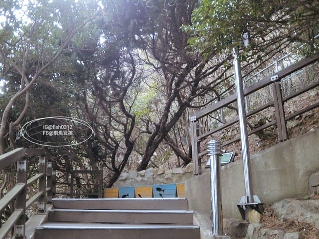 韓國釜山。釜山必去 太宗臺(태종대)搭DANUBI列車 影島燈塔  太宗臺辣海鮮麵  我在釜山搭公車