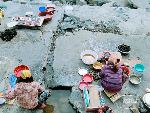釜山必去 白險灘文化村+絕影海岸散步路(흰여울문화마을) 影島交通方式 在釜山搭公車