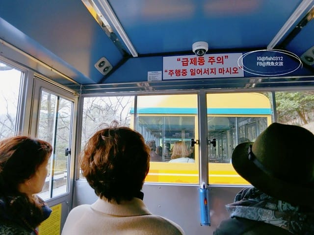 韓國釜山。釜山必去 太宗臺(태종대)搭DANUBI列車 影島燈塔  太宗臺辣海鮮麵  我在釜山搭公車