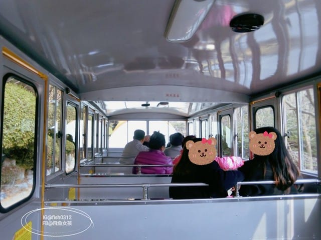 韓國釜山。釜山必去 太宗臺(태종대)搭DANUBI列車 影島燈塔  太宗臺辣海鮮麵  我在釜山搭公車