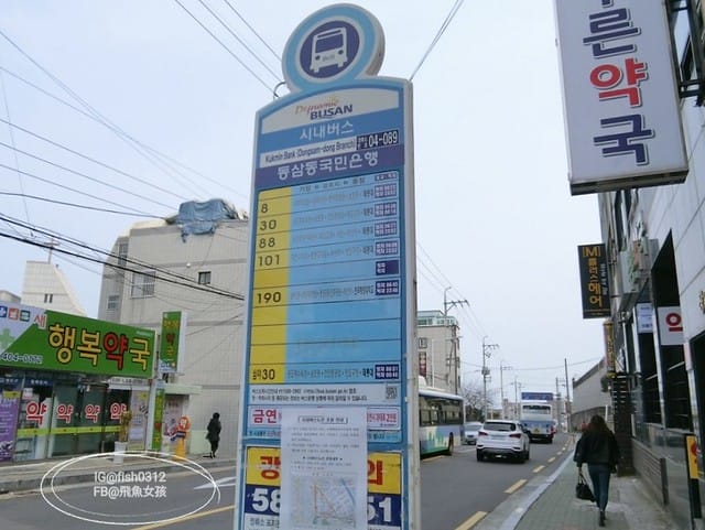 韓國釜山。釜山必去 太宗臺(태종대)搭DANUBI列車 影島燈塔  太宗臺辣海鮮麵  我在釜山搭公車