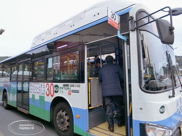 韓國釜山。釜山必去 太宗臺(태종대)搭DANUBI列車 影島燈塔  太宗臺辣海鮮麵  我在釜山搭公車