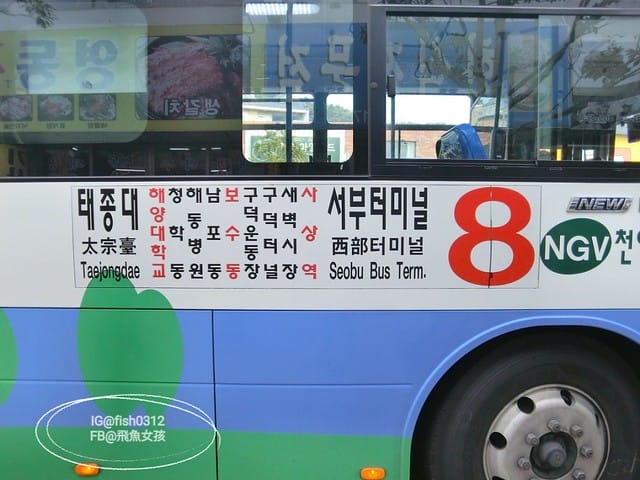 韓國釜山。釜山必去 太宗臺(태종대)搭DANUBI列車 影島燈塔  太宗臺辣海鮮麵  我在釜山搭公車