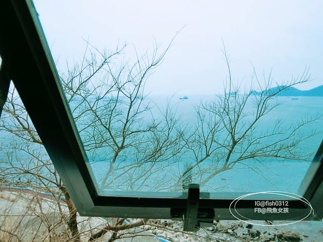 釜山必去 白險灘文化村+絕影海岸散步路(흰여울문화마을) 影島交通方式 在釜山搭公車