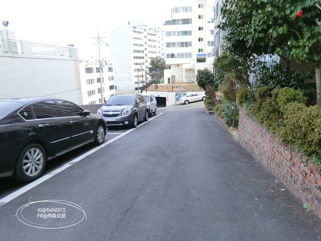 韓國釜山。釜山必去 太宗臺(태종대)搭DANUBI列車 影島燈塔  太宗臺辣海鮮麵  我在釜山搭公車