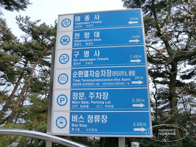 韓國釜山。釜山必去 太宗臺(태종대)搭DANUBI列車 影島燈塔  太宗臺辣海鮮麵  我在釜山搭公車