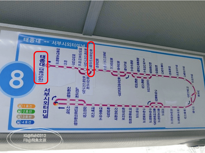 韓國釜山。釜山必去 太宗臺(태종대)搭DANUBI列車 影島燈塔  太宗臺辣海鮮麵  我在釜山搭公車