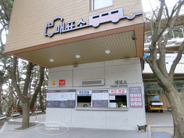 韓國釜山。釜山必去 太宗臺(태종대)搭DANUBI列車 影島燈塔  太宗臺辣海鮮麵  我在釜山搭公車