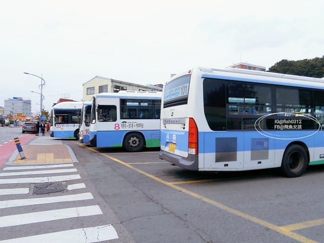韓國釜山。釜山必去 太宗臺(태종대)搭DANUBI列車 影島燈塔  太宗臺辣海鮮麵  我在釜山搭公車