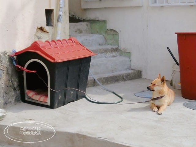 釜山必去 白險灘文化村+絕影海岸散步路(흰여울문화마을) 影島交通方式 在釜山搭公車