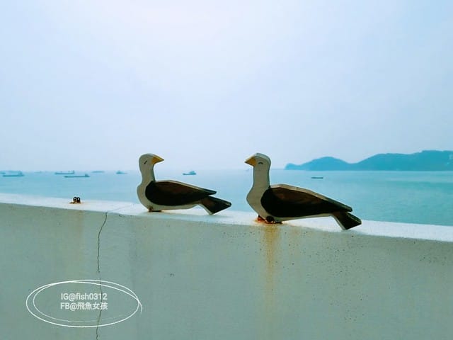 釜山必去 白險灘文化村+絕影海岸散步路(흰여울문화마을) 影島交通方式 在釜山搭公車