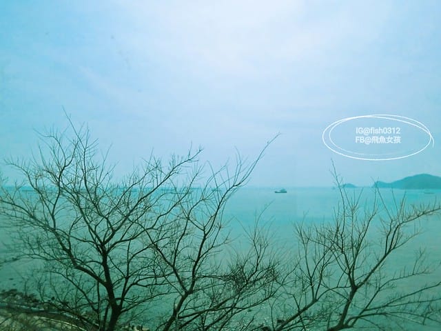 釜山必去 白險灘文化村+絕影海岸散步路(흰여울문화마을) 影島交通方式 在釜山搭公車