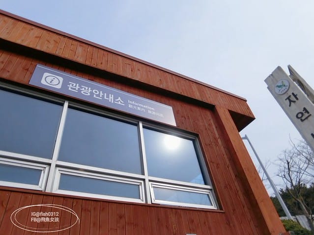 韓國釜山。釜山必去 太宗臺(태종대)搭DANUBI列車 影島燈塔  太宗臺辣海鮮麵  我在釜山搭公車