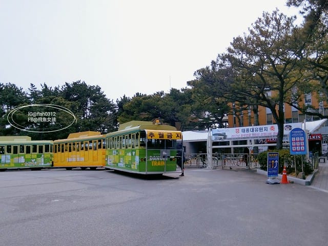 韓國釜山。釜山必去 太宗臺(태종대)搭DANUBI列車 影島燈塔  太宗臺辣海鮮麵  我在釜山搭公車