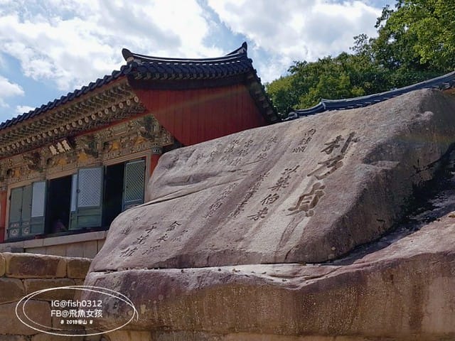 MTXX_MH20230516_083513704