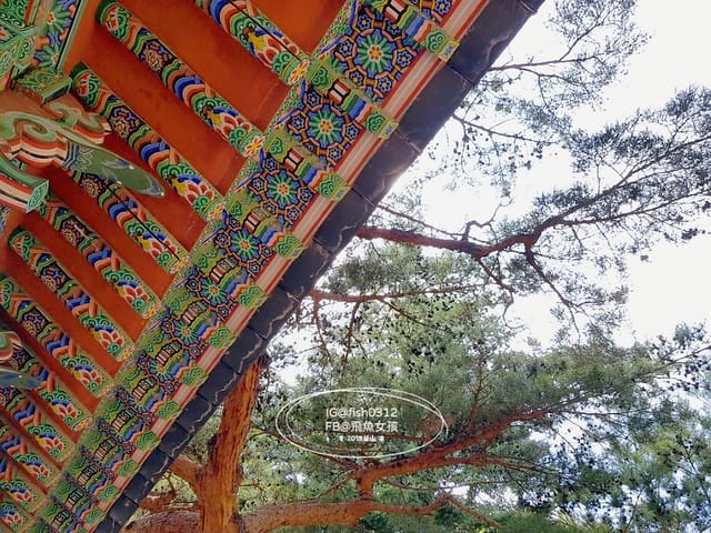 MTXX_MH20230515_230119847