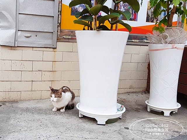 釜山自由行,韓國釜山,釜山景點,釜山歷史,釜山草梁故事路,168階梯,釜山單軌列車,釜山玩具博物館 釜山自由行,韓國釜山,釜山景點,釜山歷史,釜山草梁故事路,168階梯,釜山單軌列車,釜山玩具博物館