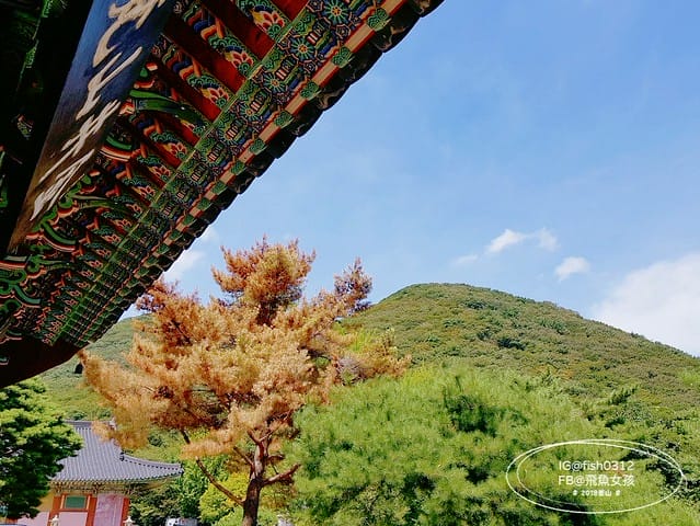 MTXX_MH20230516_084006351