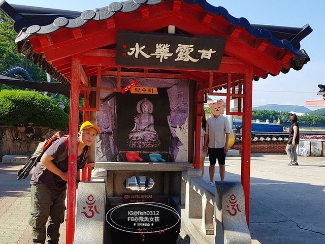 釜山海景,機張景點,海東龍宮寺,海雲台到海東龍宮寺交通,在釜山搭公車 