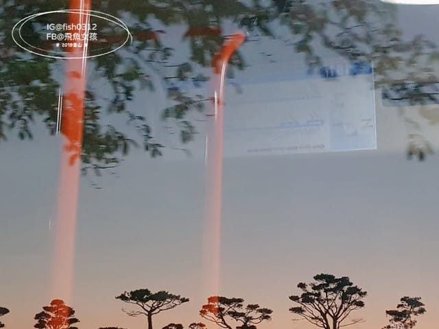 機張市場,雪蟹之家대게하우스,韓國大蟹,帝王蟹,松葉蟹,蟹膏炒飯,在釜山搭公車 機張市場,雪蟹之家대게하우스,韓國大蟹,帝王蟹,松葉蟹,蟹膏炒飯,在釜山搭公車