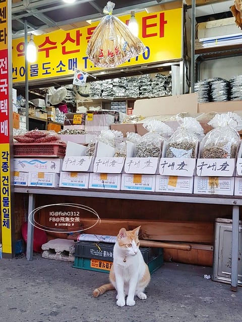 機張市場,雪蟹之家대게하우스,韓國大蟹,帝王蟹,松葉蟹,蟹膏炒飯,在釜山搭公車 機張市場,雪蟹之家대게하우스,韓國大蟹,帝王蟹,松葉蟹,蟹膏炒飯,在釜山搭公車