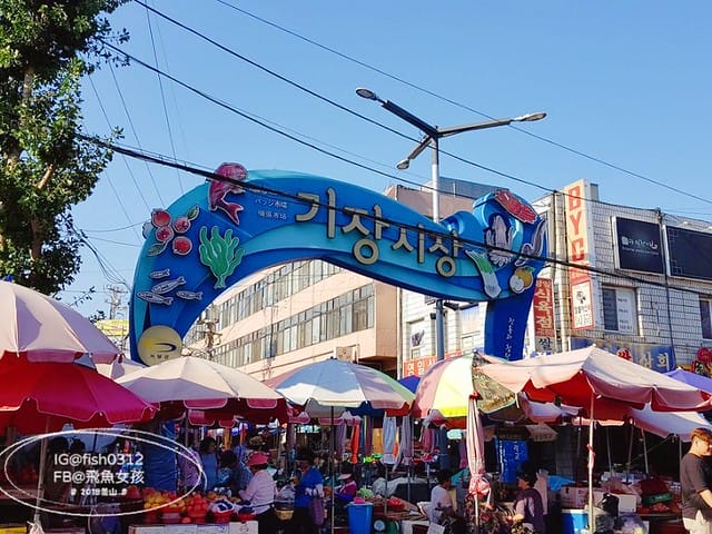 機張市場,雪蟹之家대게하우스,韓國大蟹,帝王蟹,松葉蟹,蟹膏炒飯,在釜山搭公車 機張市場,雪蟹之家대게하우스,韓國大蟹,帝王蟹,松葉蟹,蟹膏炒飯,在釜山搭公車