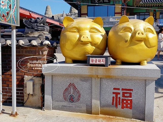 釜山海景,機張景點,海東龍宮寺,海雲台到海東龍宮寺交通,在釜山搭公車 